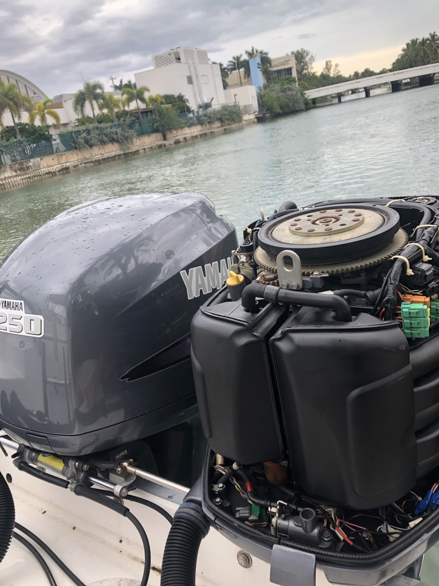 Yamaha 250 outboard opened for service at the seawall